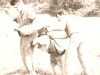 elvis_v_bajazzo