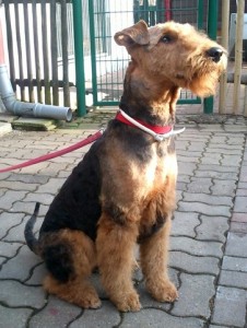 DSC_8 (Kopie)