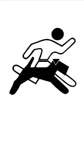 DSC_logo AT