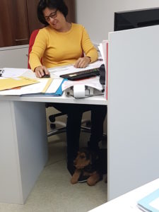 im Büro